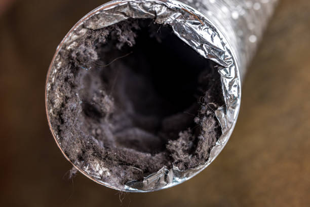 Best HVAC System Cleaning  in Herald, CA