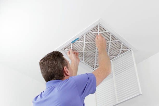 Best Air Duct Mold Removal  in Herald, CA